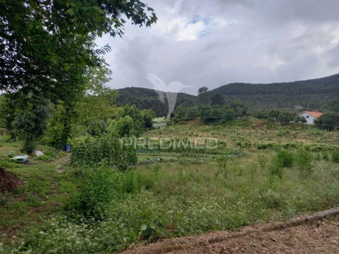 Terreno para Venda em Mondim de Basto Foto 2