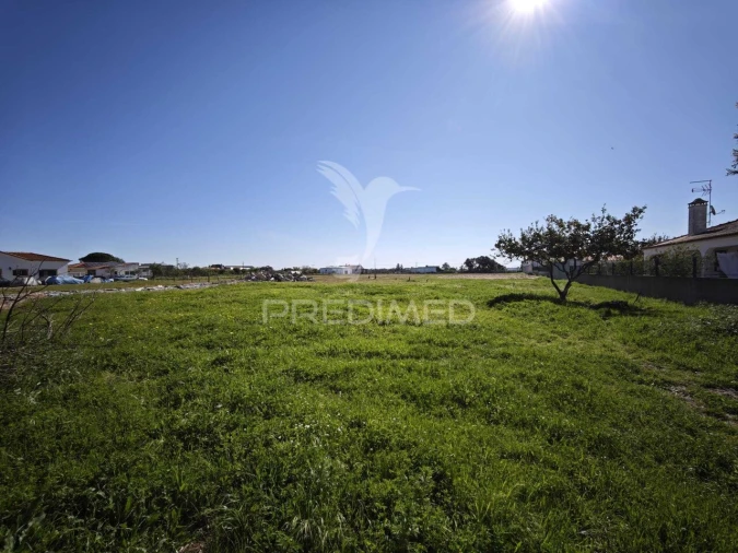 Terreno para Venda em Benavente Foto 2