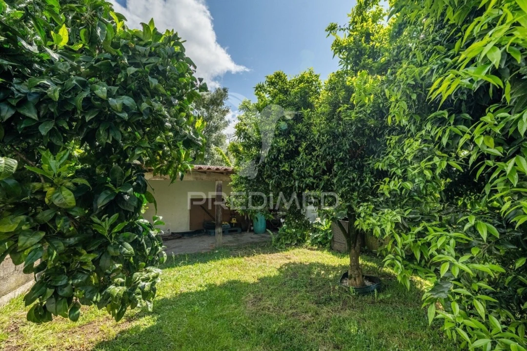 Moradia T3 para Venda em Carrazedo Foto 5