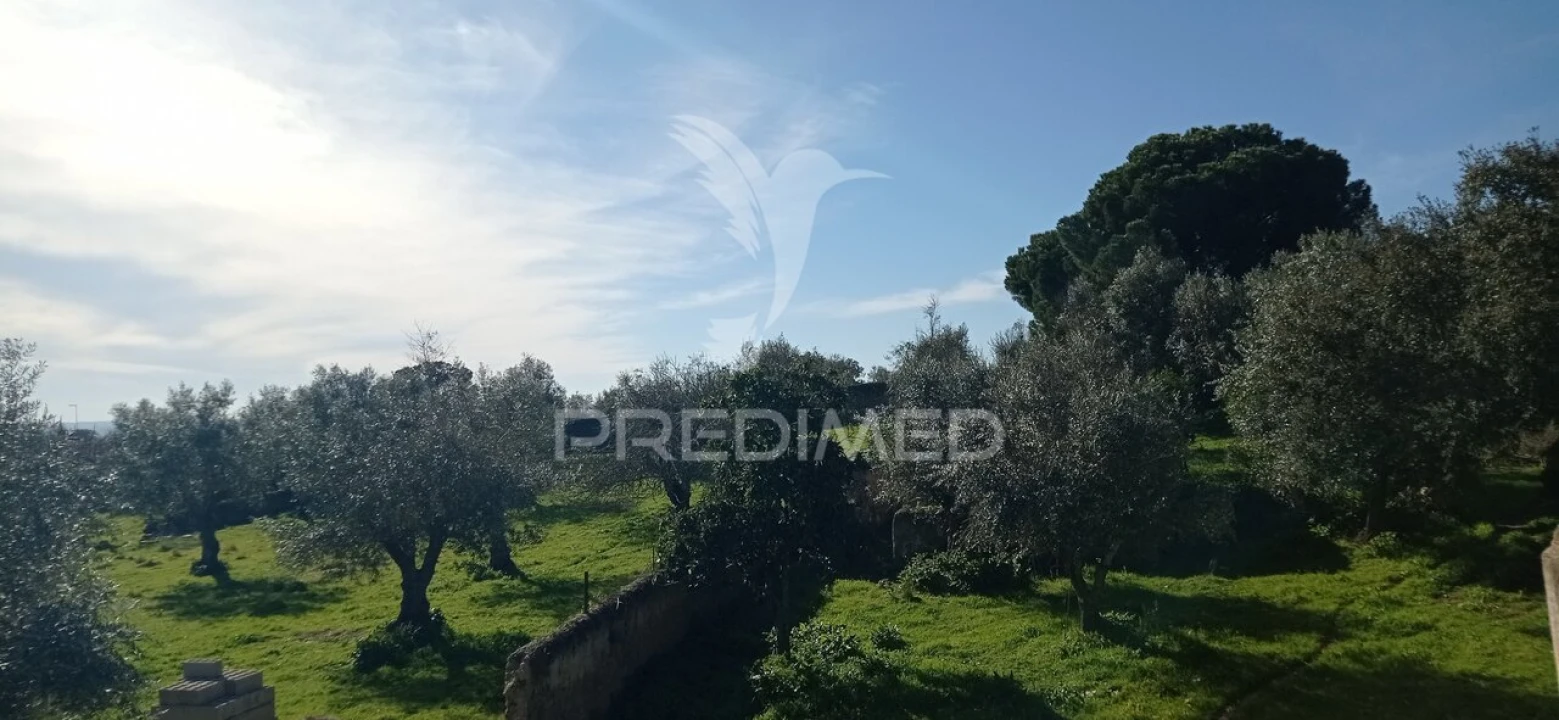 Moradia T4 para Venda em Aldeia da Mata Foto 22