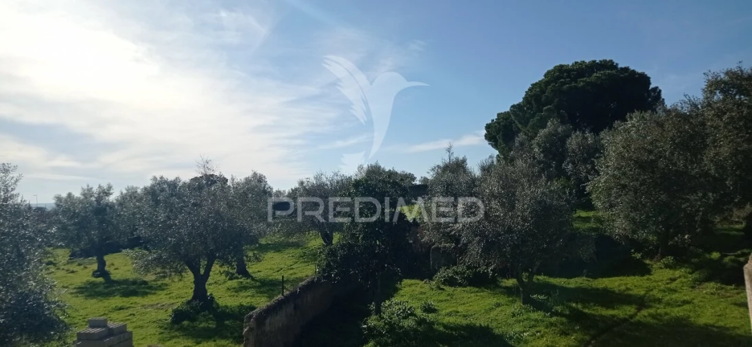 Moradia T4 para Venda em Aldeia da Mata Foto 22