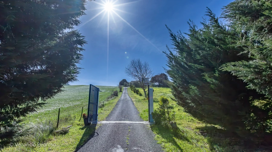 Quinta T5 para Venda em Encarnação Foto 8