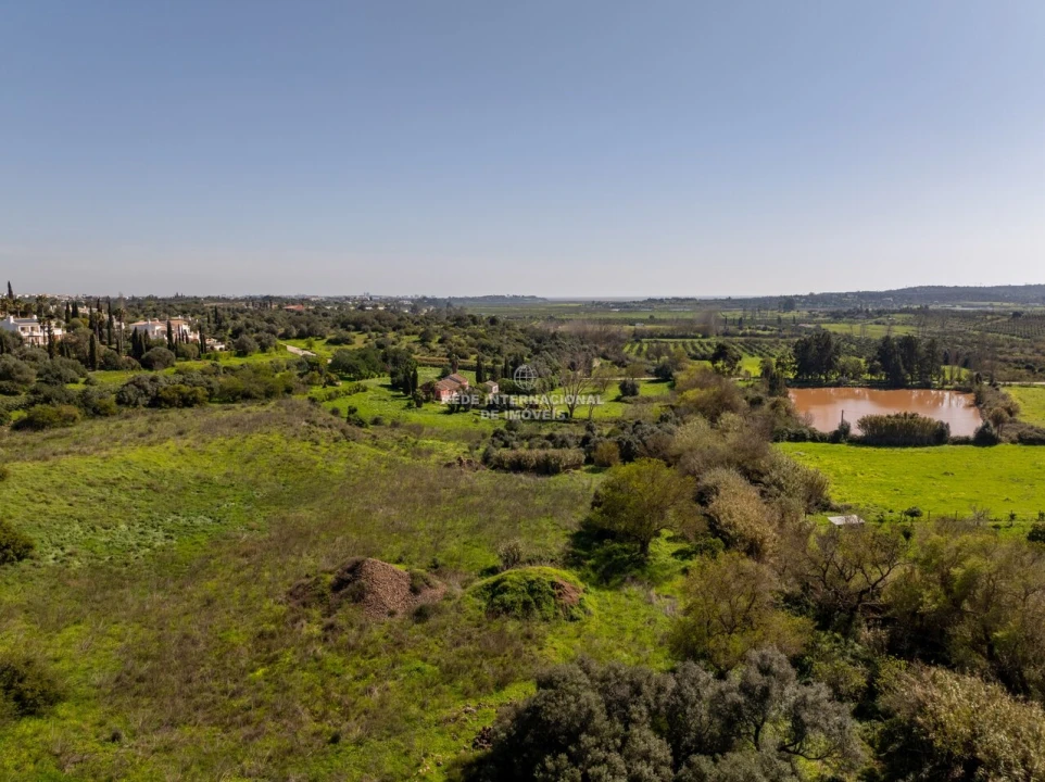 Terreno para Venda em Mexilhoeira Grande Foto 13