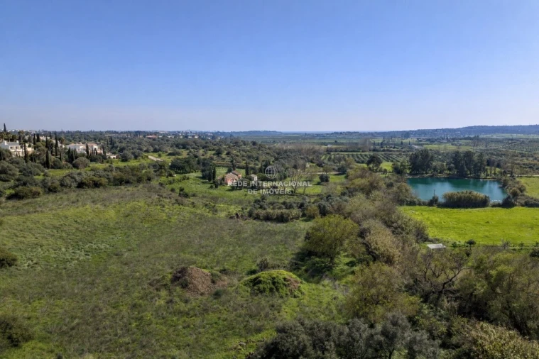 Terreno para Venda em Mexilhoeira Grande Foto 19