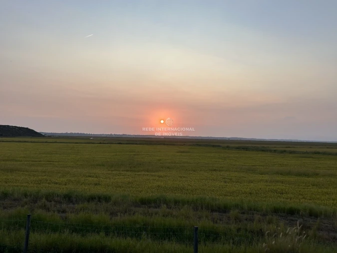 Moradia T4 para Venda em Comporta Foto 16