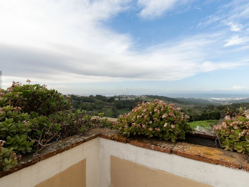 Moradia T3 para Venda em Colares Foto 18