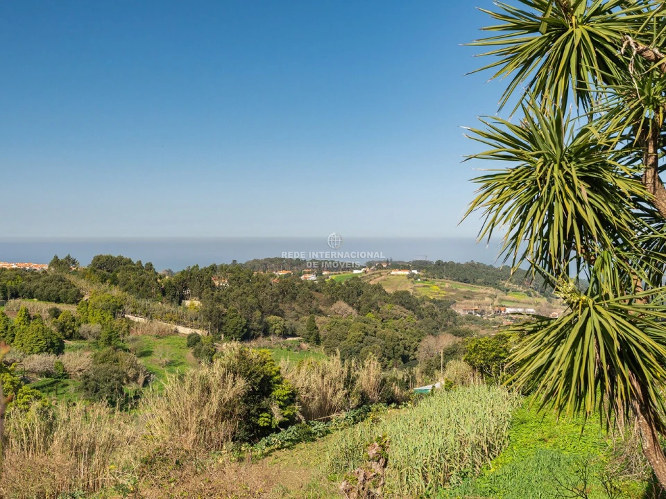 Moradia T3 para Venda em Colares Foto 10