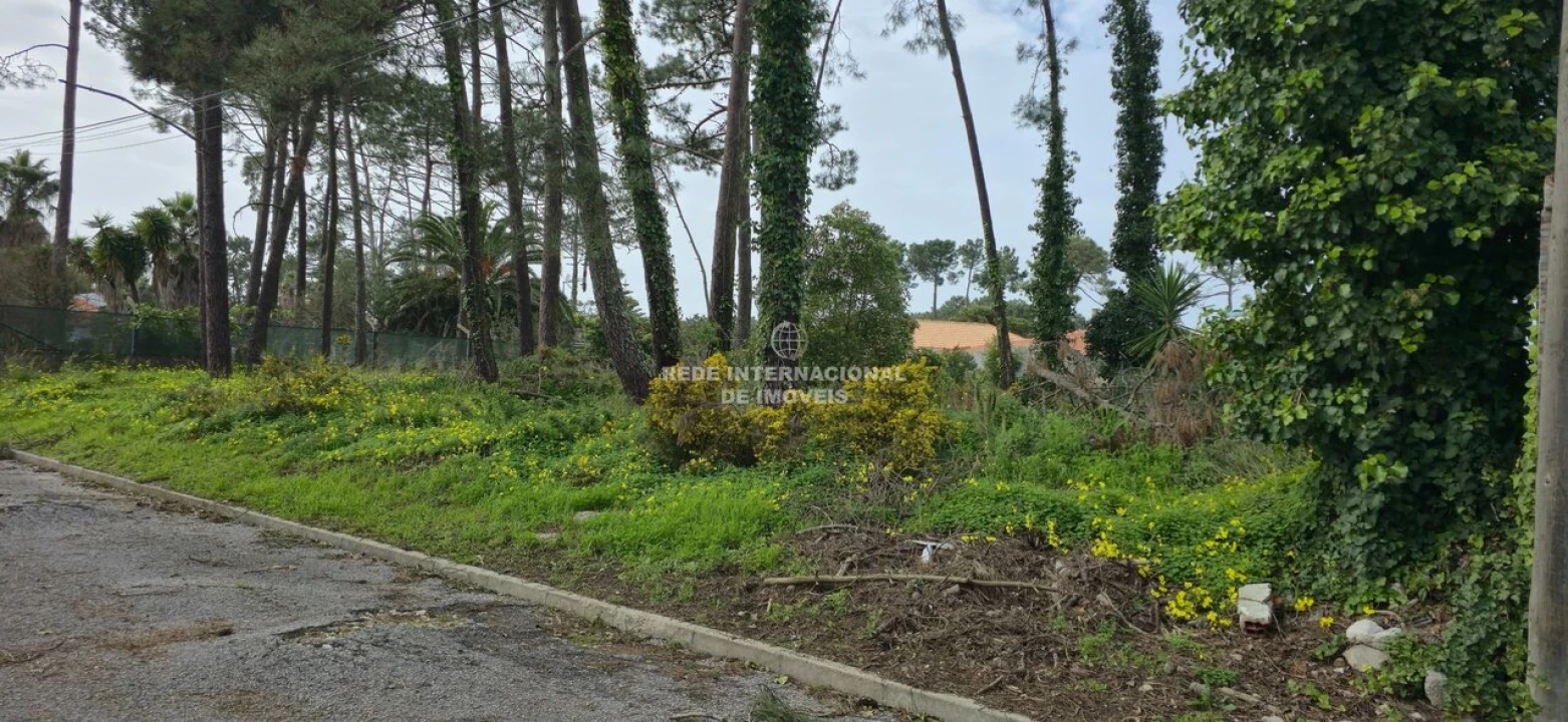 Terreno para Venda em Corroios Foto 30