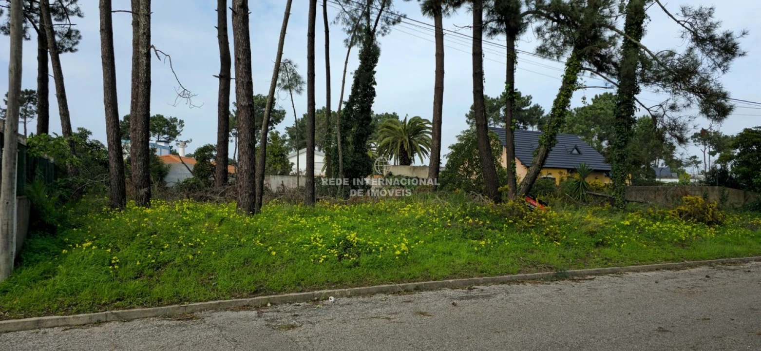 Terreno para Venda em Corroios Foto 12