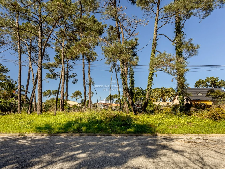 Terreno para Venda em Corroios Foto 5