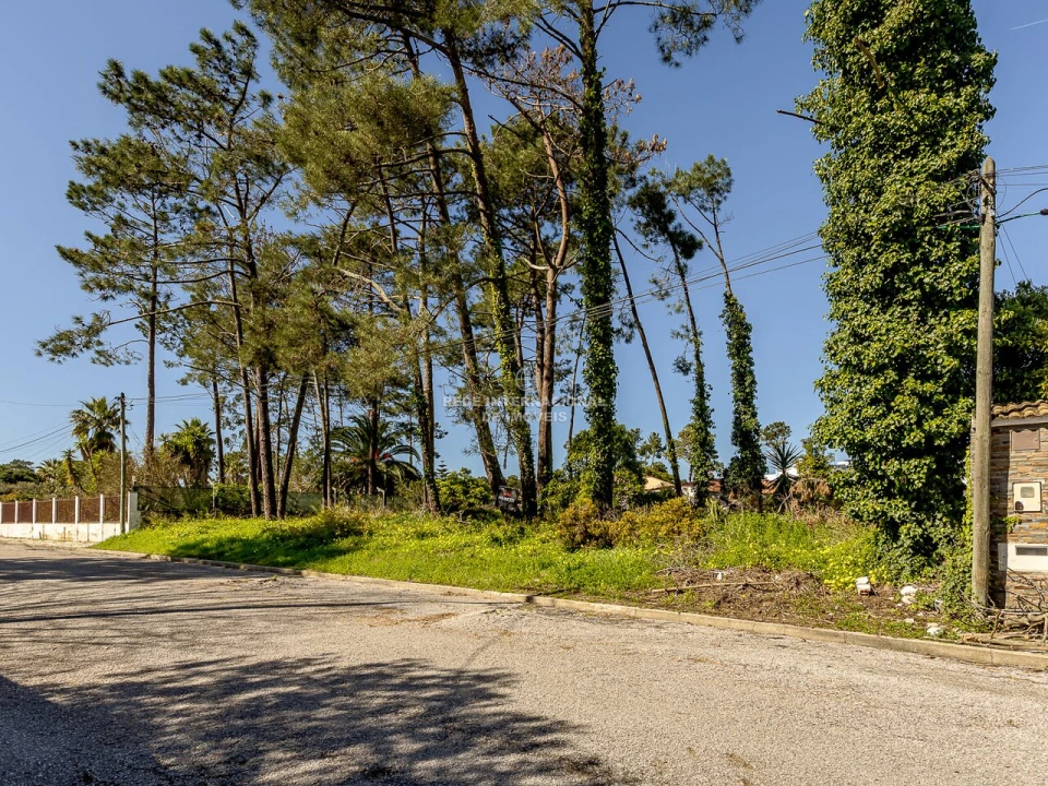 Terreno para Venda em Corroios Foto 22