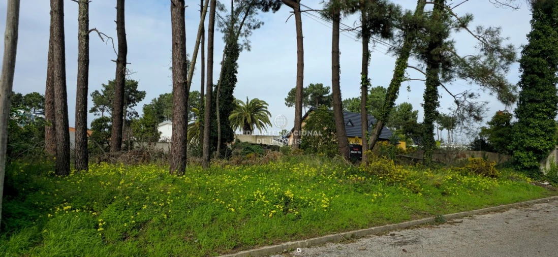 Terreno para Venda em Corroios Foto 11