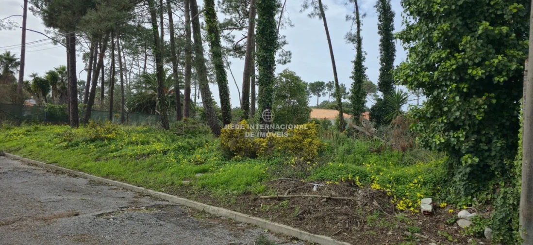 Terreno para Venda em Corroios Foto 30