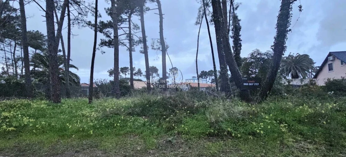 Terreno para Venda em Corroios Foto 14