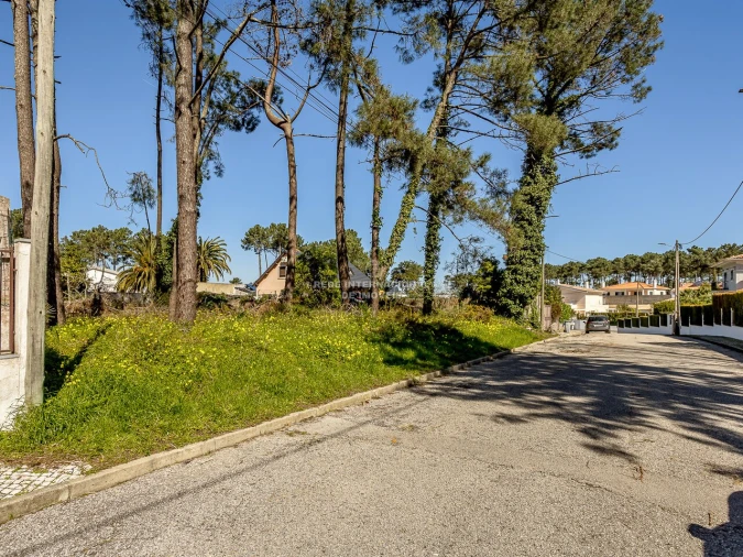 Terreno para Venda em Corroios Foto 17