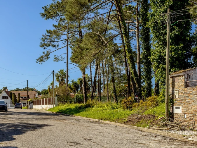Terreno para Venda em Corroios Foto 21