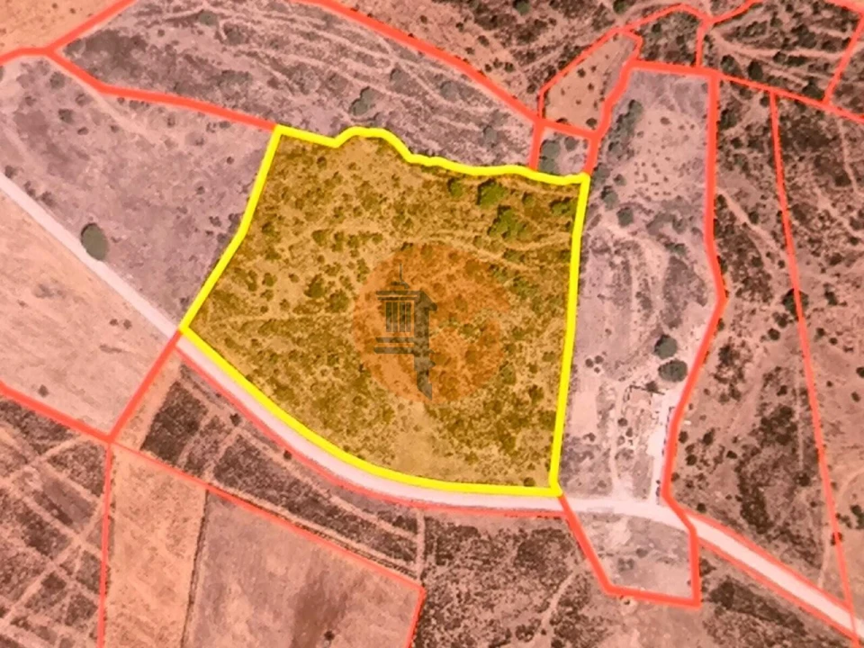 Terreno para Venda em Azinhal Foto 24