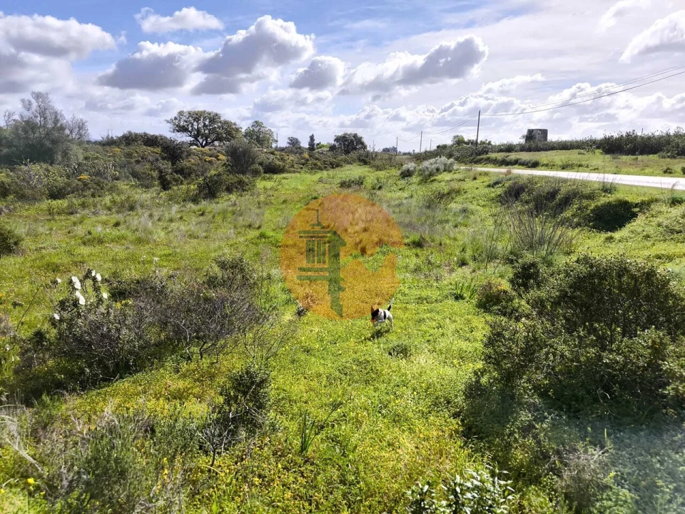 Terreno para Venda em Azinhal Foto 1