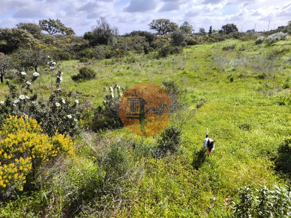 Terreno para Venda em Azinhal Foto 5
