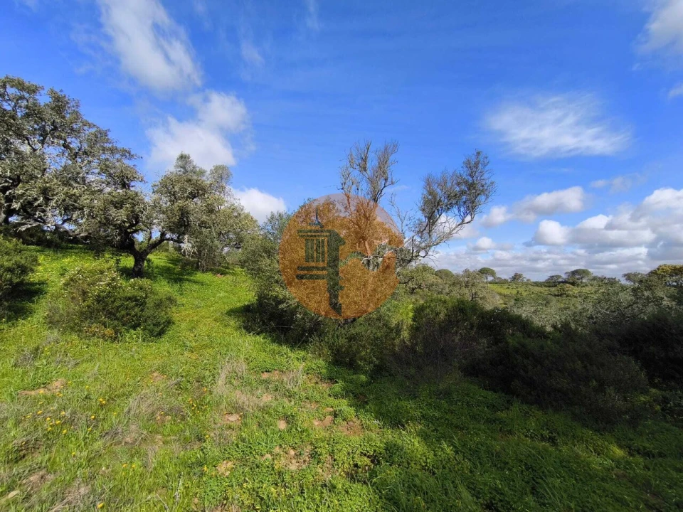 Terreno para Venda em Azinhal Foto 22