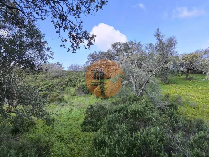 Terreno para Venda em Azinhal Foto 14