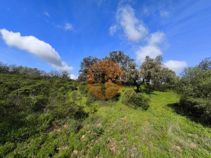 Terreno para Venda em Azinhal Foto 23