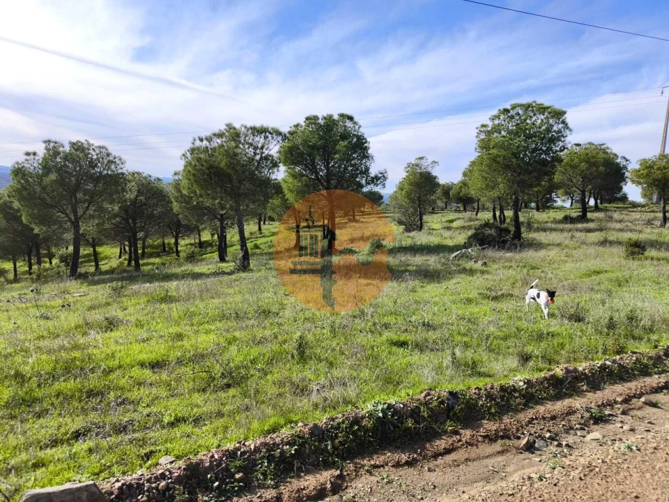 Terreno para Venda em Odeleite Foto 5