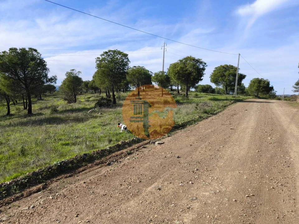 Terreno para Venda em Odeleite Foto 8