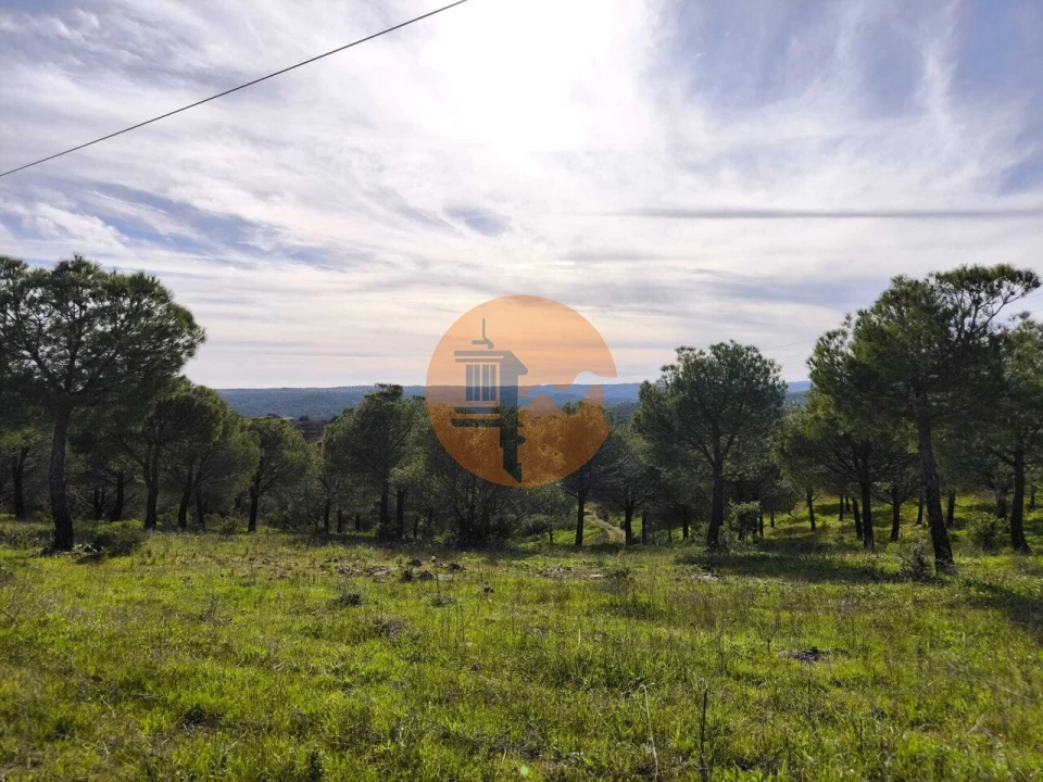 Terreno para Venda em Odeleite Foto 11