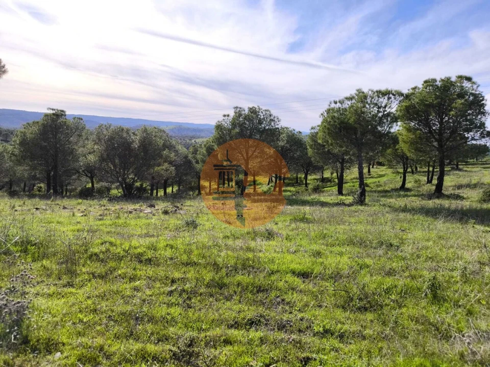 Terreno para Venda em Odeleite Foto 12