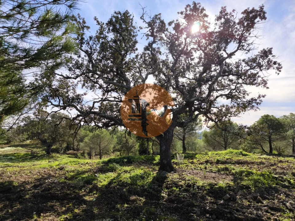 Terreno para Venda em Odeleite Foto 13