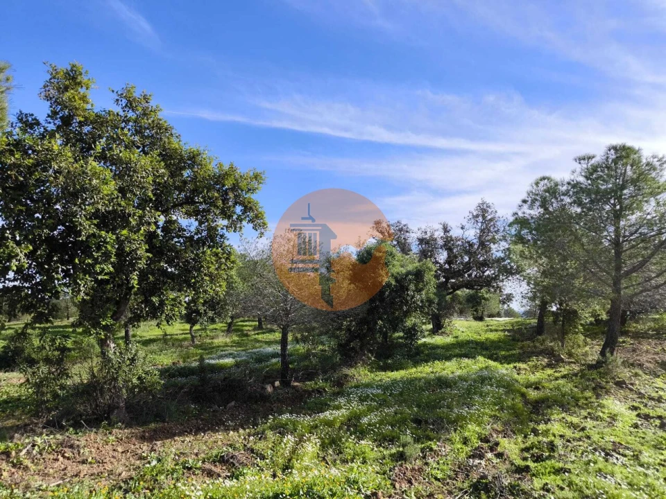 Terreno para Venda em Odeleite Foto 21