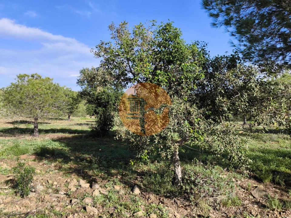 Terreno para Venda em Odeleite Foto 22