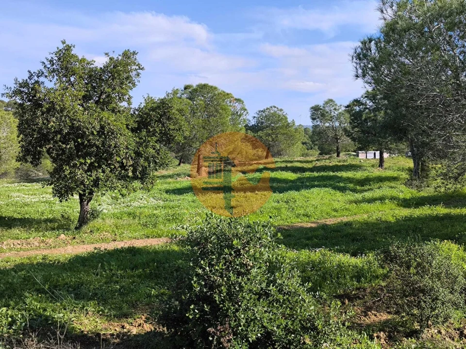 Terreno para Venda em Odeleite Foto 23