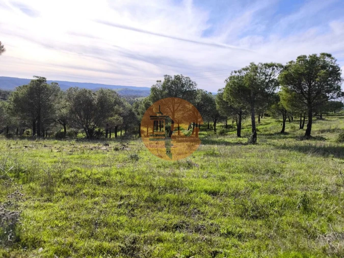 Terreno para Venda em Odeleite Foto 12