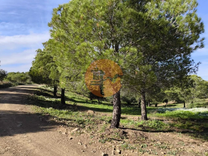 Terreno para Venda em Odeleite Foto 4