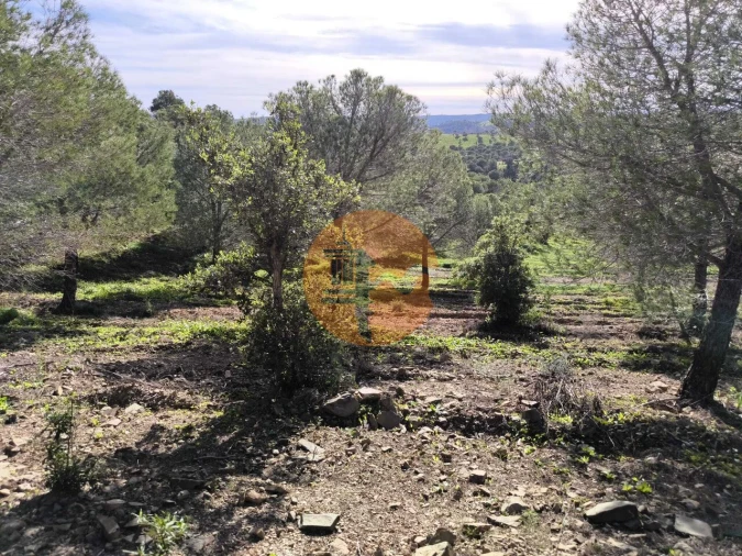 Terreno para Venda em Odeleite Foto 18