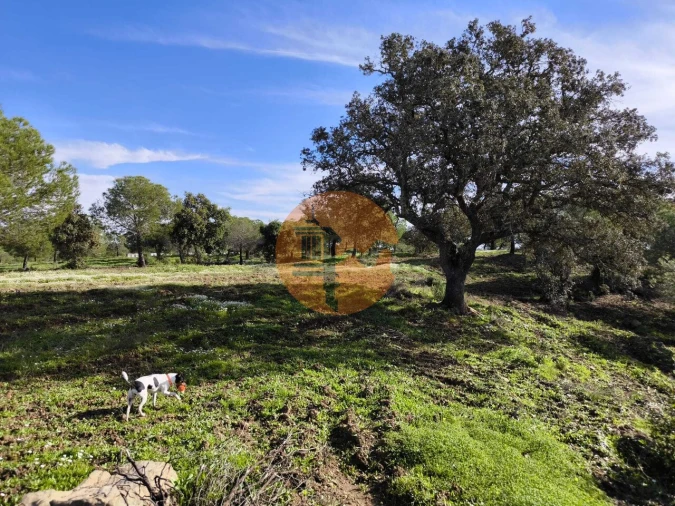 Terreno para Venda em Odeleite Foto 20