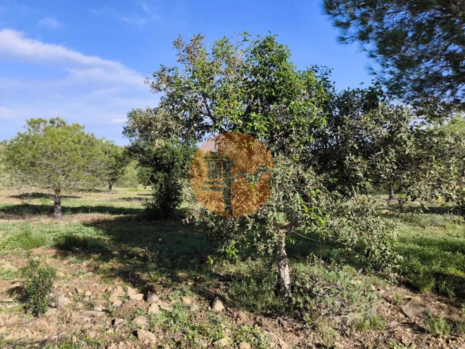 Terreno para Venda em Odeleite Foto 22
