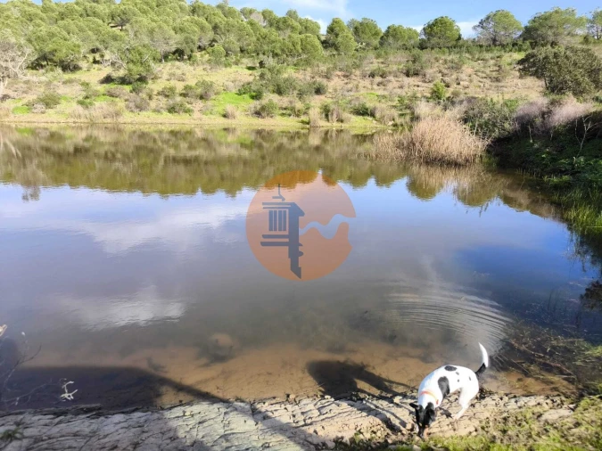Terreno para Venda em Odeleite Foto 3