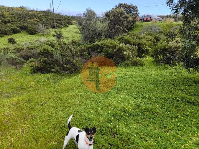 Terreno para Venda em Azinhal Foto 23