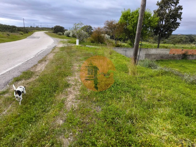 Terreno para Venda em Azinhal Foto 25