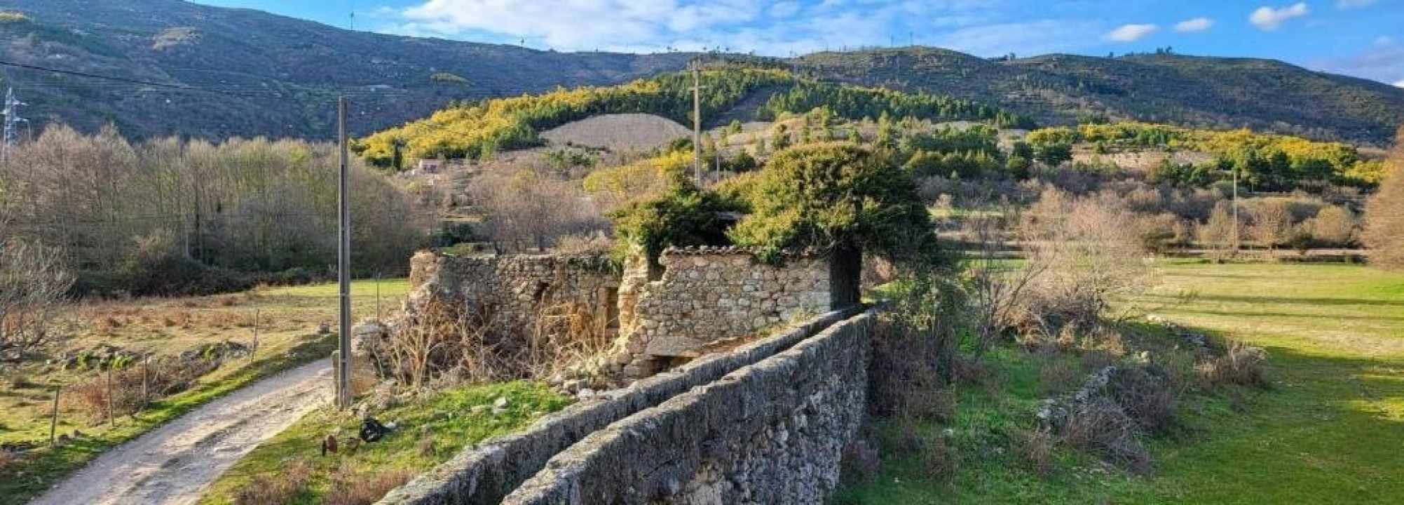 Quinta T0 para Venda em Gonçalo Foto 5