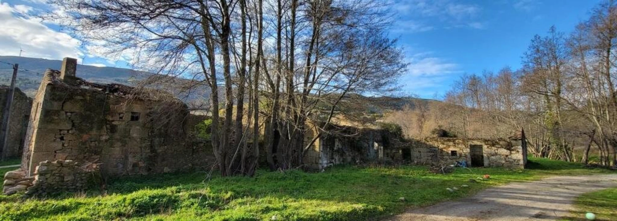 Quinta T0 para Venda em Gonçalo Foto 7