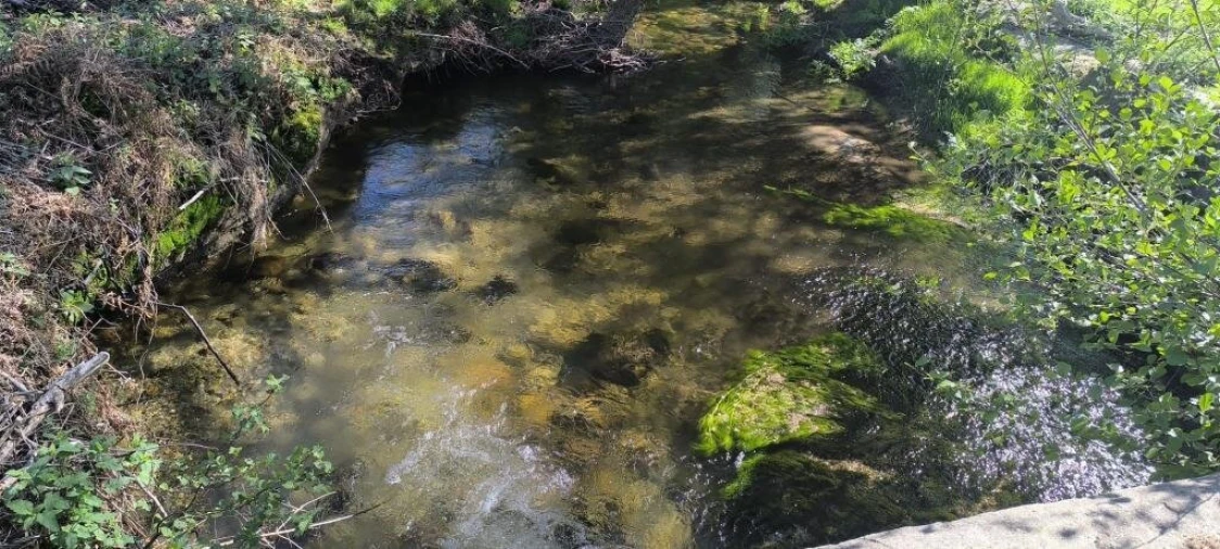 Quinta T0 para Venda em Gonçalo Foto 10