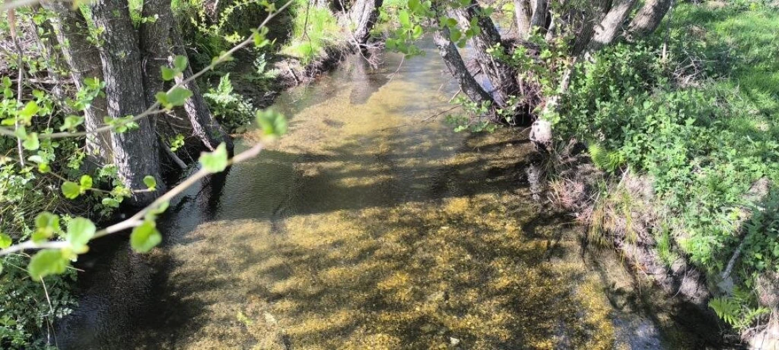 Quinta T0 para Venda em Gonçalo Foto 11