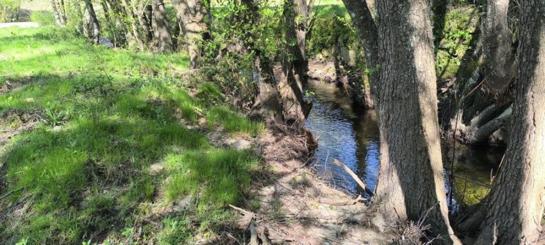 Quinta T0 para Venda em Gonçalo Foto 13
