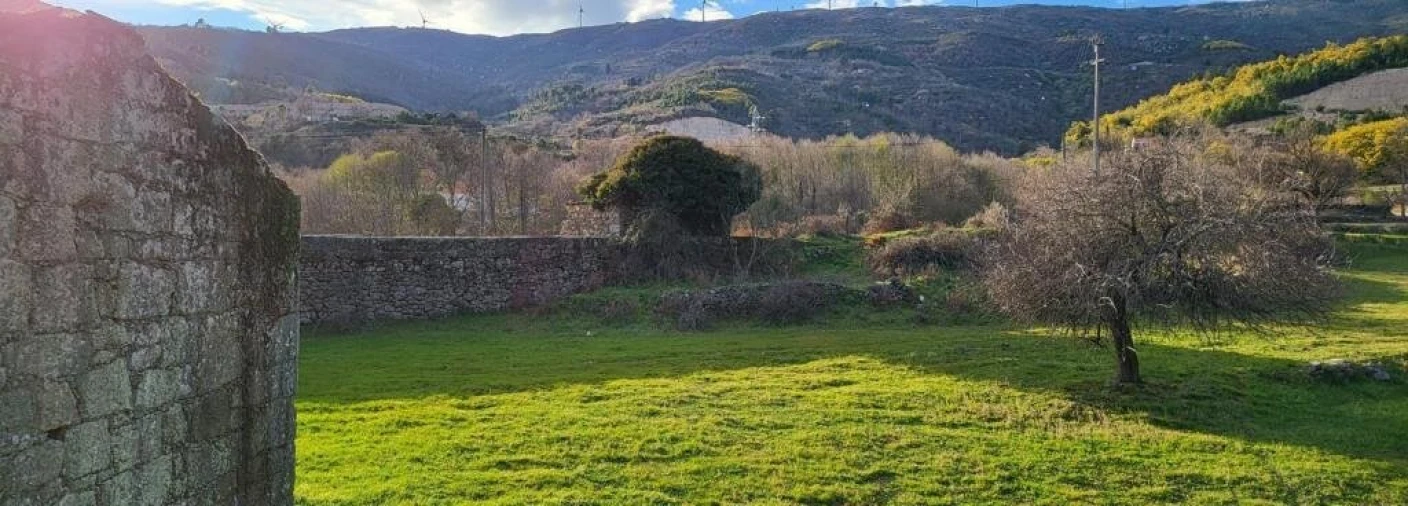 Quinta T0 para Venda em Gonçalo Foto 6