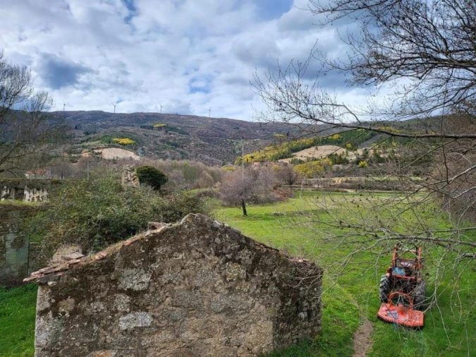 Quinta T0 para Venda em Gonçalo Foto 8
