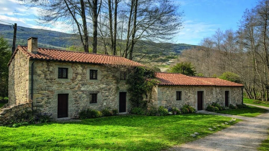 Quinta T0 para Venda em Gonçalo